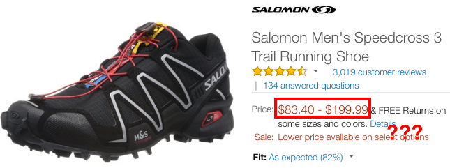 fake salomon shoes on ebay