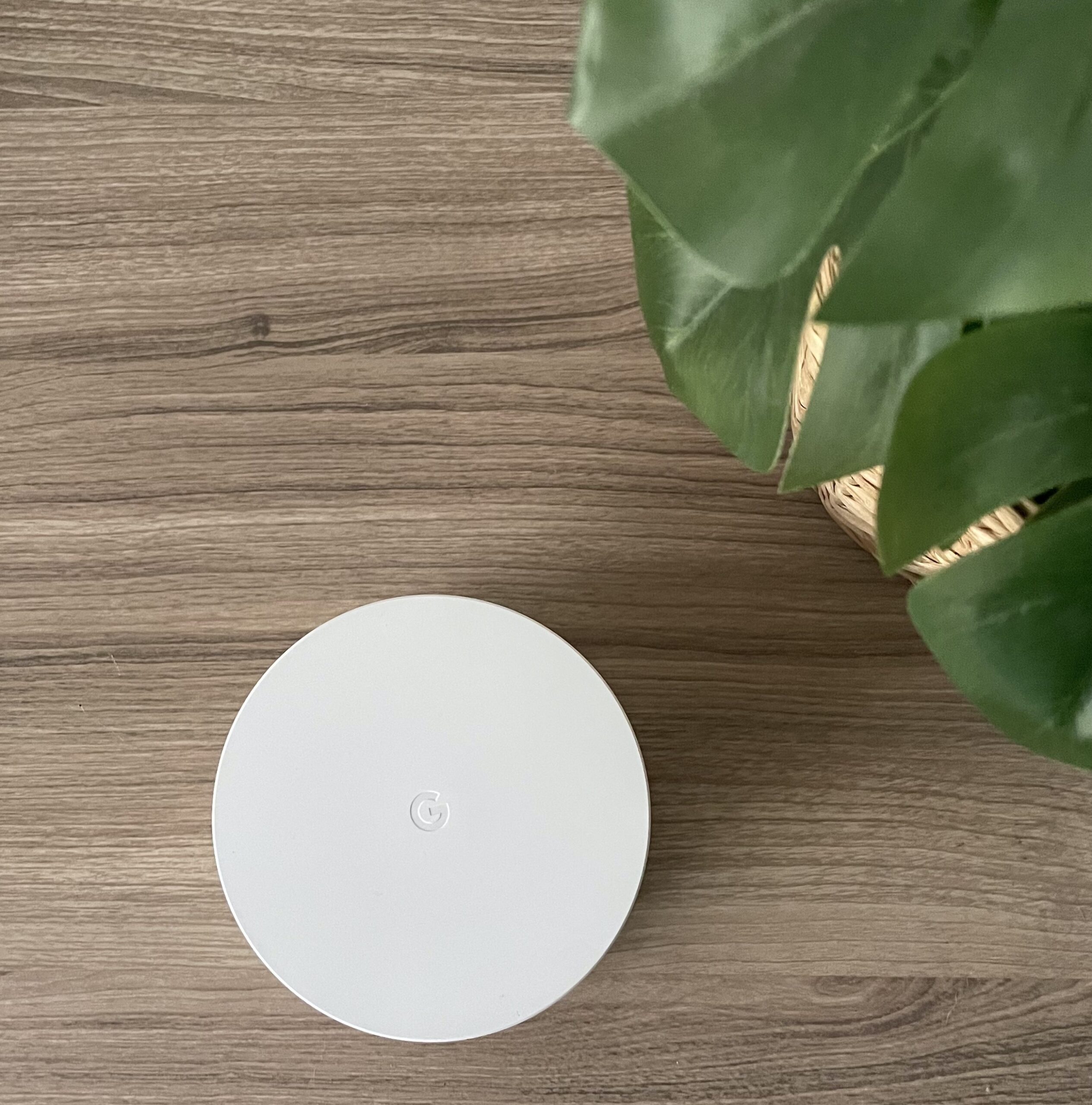 Google WiFi Mesh: the 2024 Full Review