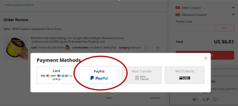 why-can-t-i-pay-with-paypal-on-aliexpress-solved